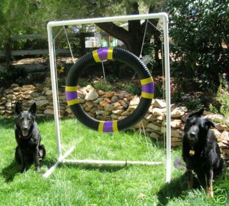 Dog Agility Tire Jump