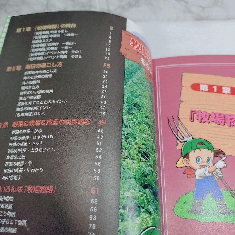[Good condition] Harvest Moon Hyper Guidebook