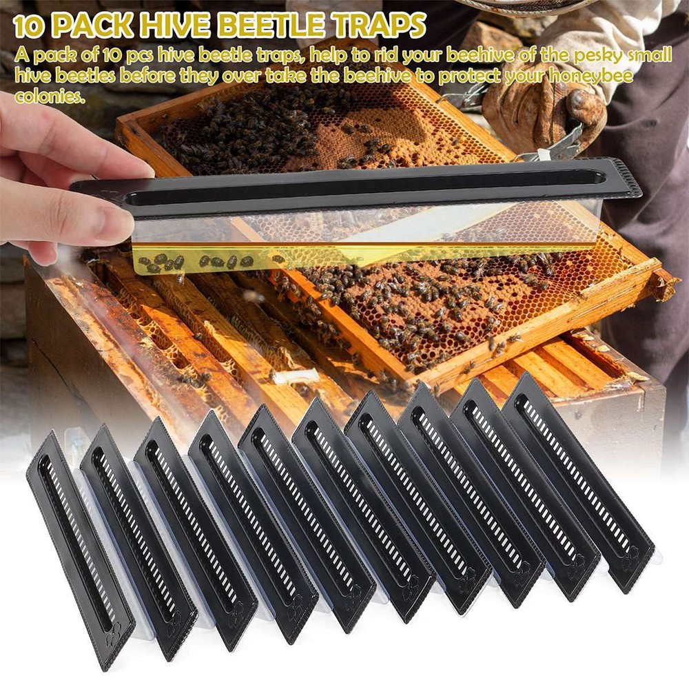 30Pcs Black Small Bee Hive Beetle Blaster Beehive Beetle Trap Beekeeping Tools