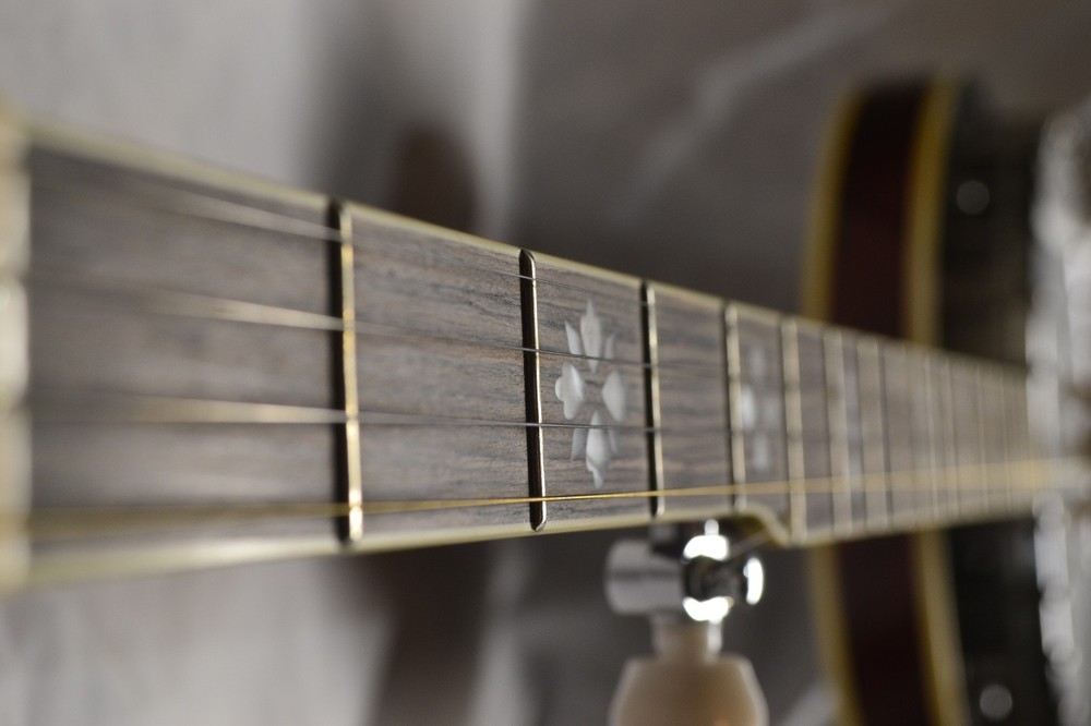 Oscar Schmidt, 5-String Banjo, (OB5-A)