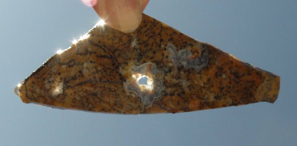 Cheetah Agate Lapidary Slab T988