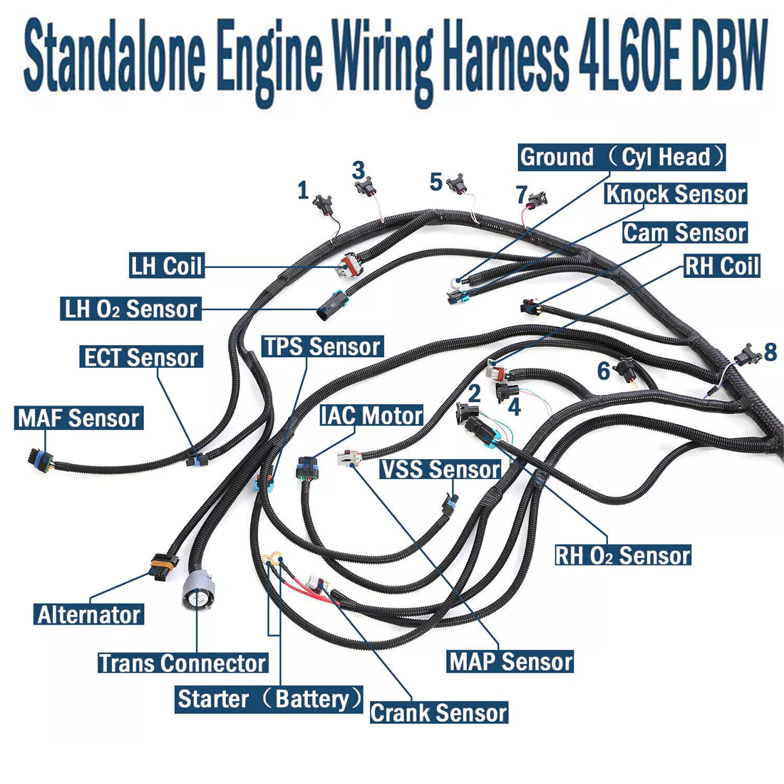 LS1 4L60E Stand Alone Harness For LS SWAP 4.8 5.3 6.0 97-06 Drive by Cable DBC