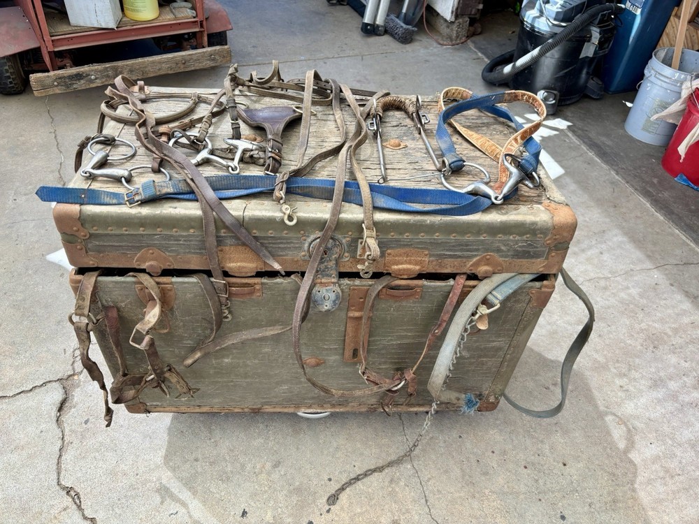 Horse Tack And Bridal With Trunk Package