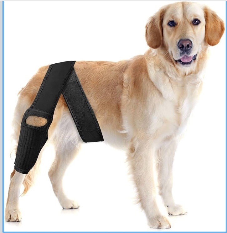 Dog Knee Brace For Torn ACL Elastic Support, Adjustable, Medium 4-Leg Universal