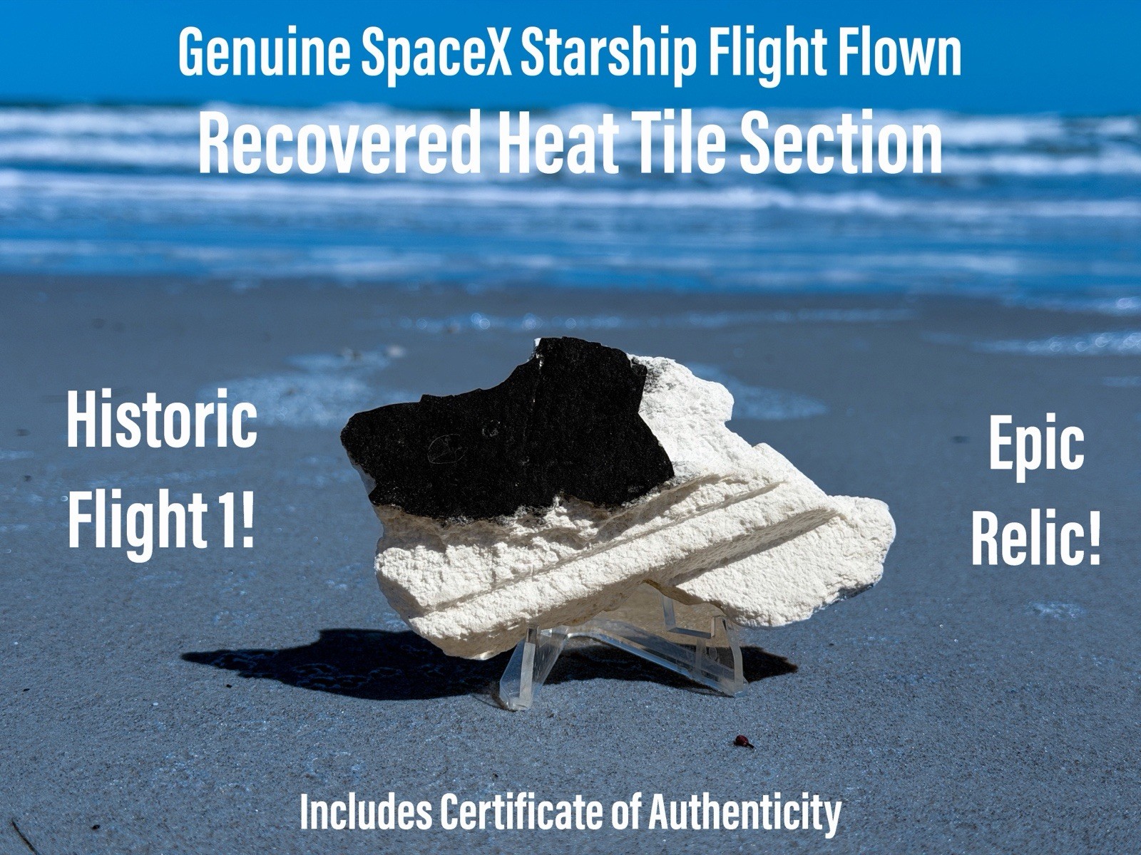 Space X Starship Flight 1 Heat Shield Tile Historic IFT-1 SN24 Set (Lg)