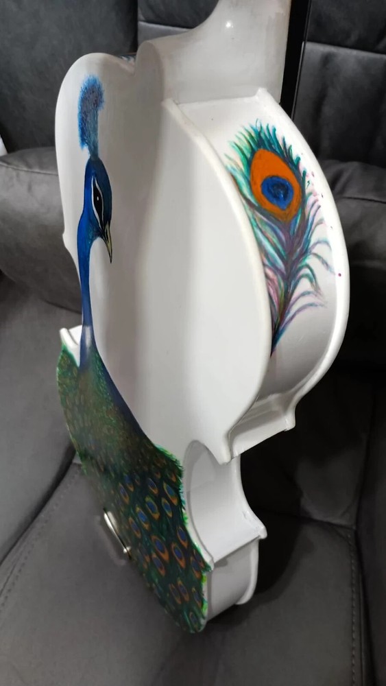 PEACOCK HAND-PAINTED SOLID SPRUCE TOP MAPLE BACK/SIDES VIOLIN 4/4