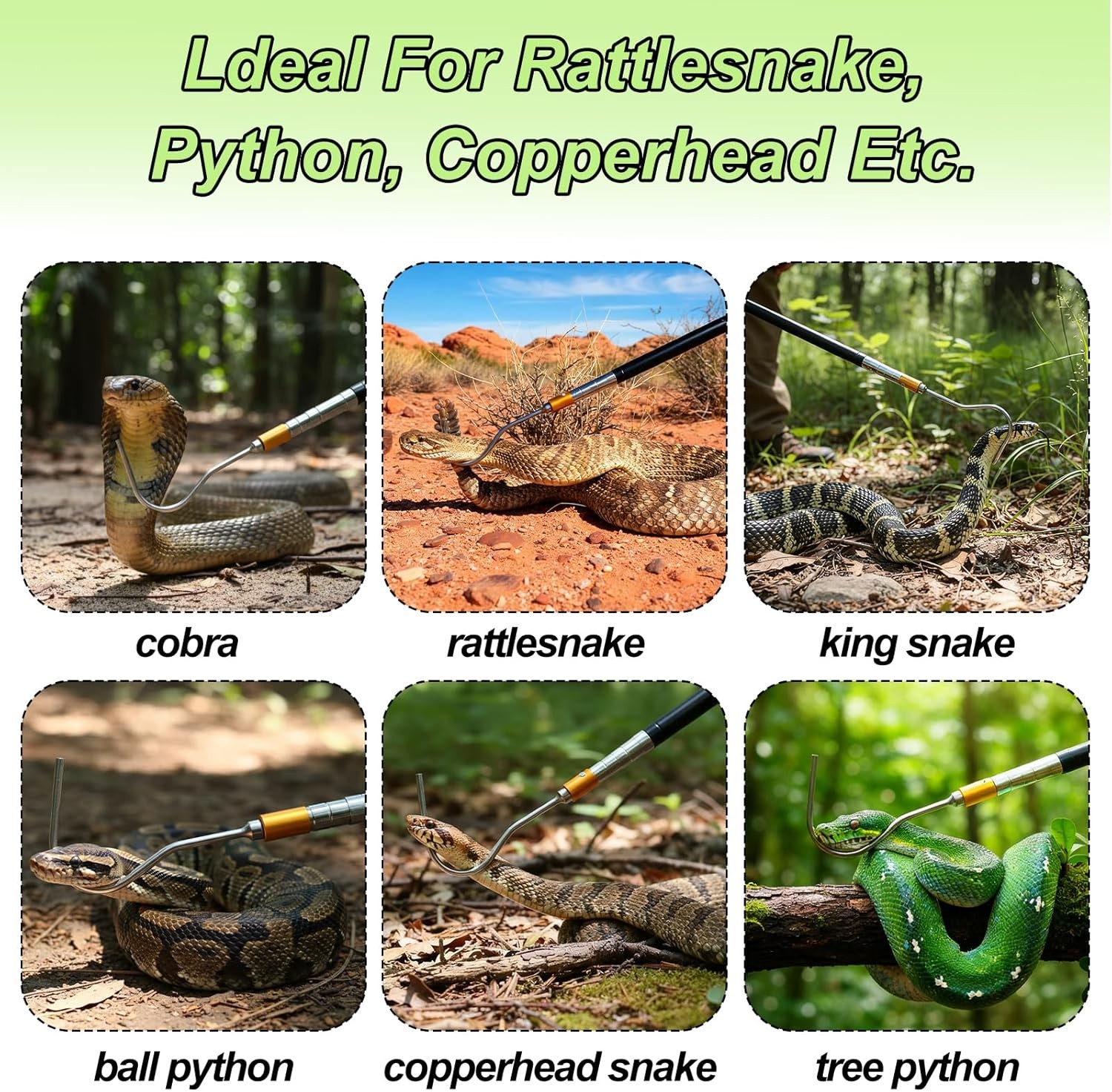 61 inch Snake Hook, Professional Reptile Catcher Handling Tool, Stainless Steel