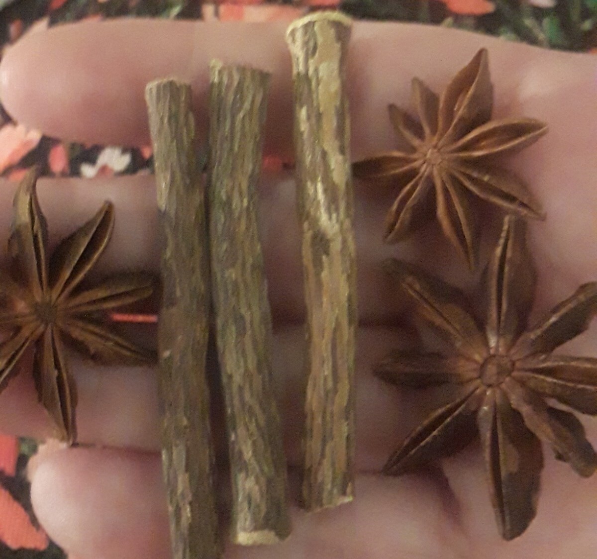 3p LOT:STAR ANISE LICORICE ROOT CHEW STICKS NATURAL NO NICOTINE STOP SMOKING AID