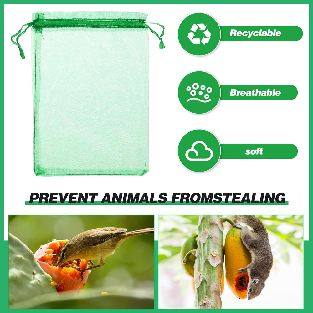 100 bolsas protectoras para frutas