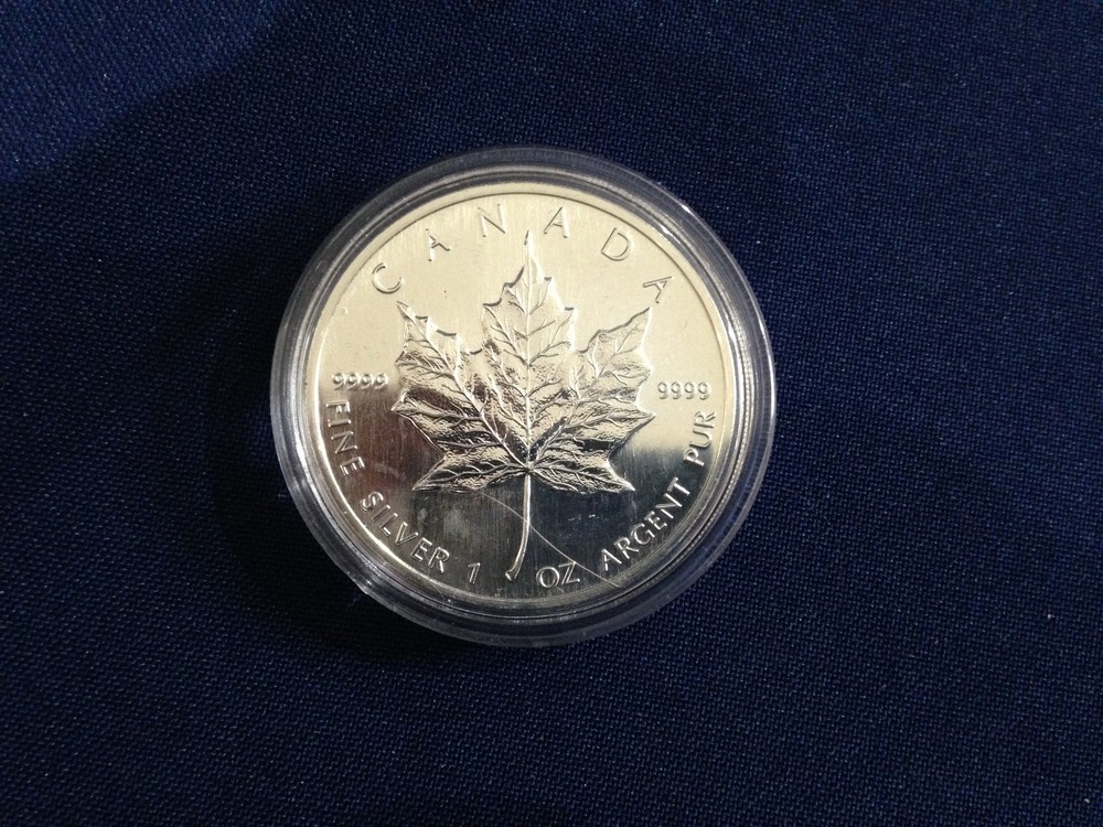1989 Canada $5.00 Maple Leaf Gem BU One Ounce .9999 Fine Silver E6102