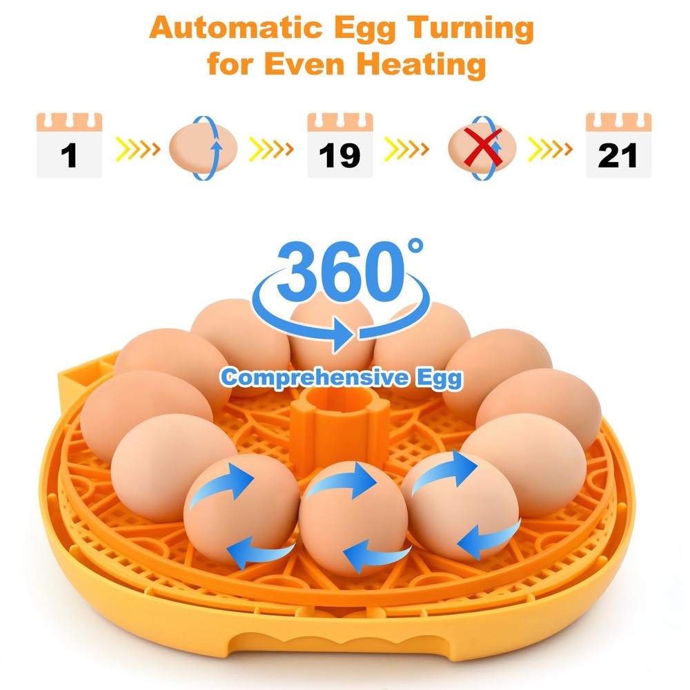 Egg Incubator 12 Eggs Automatic Turner Smart Hatch