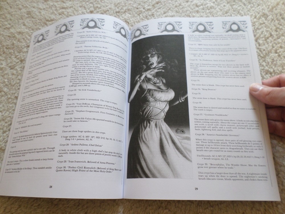 Ravenloft adventure module I6 Dungeons & Dragons