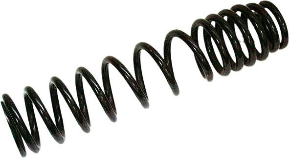 SP1 Spring For Susp Shock | 04-295
