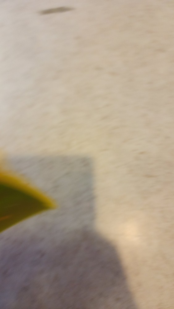 MEGA MEMORY CARD BY INTEREACT