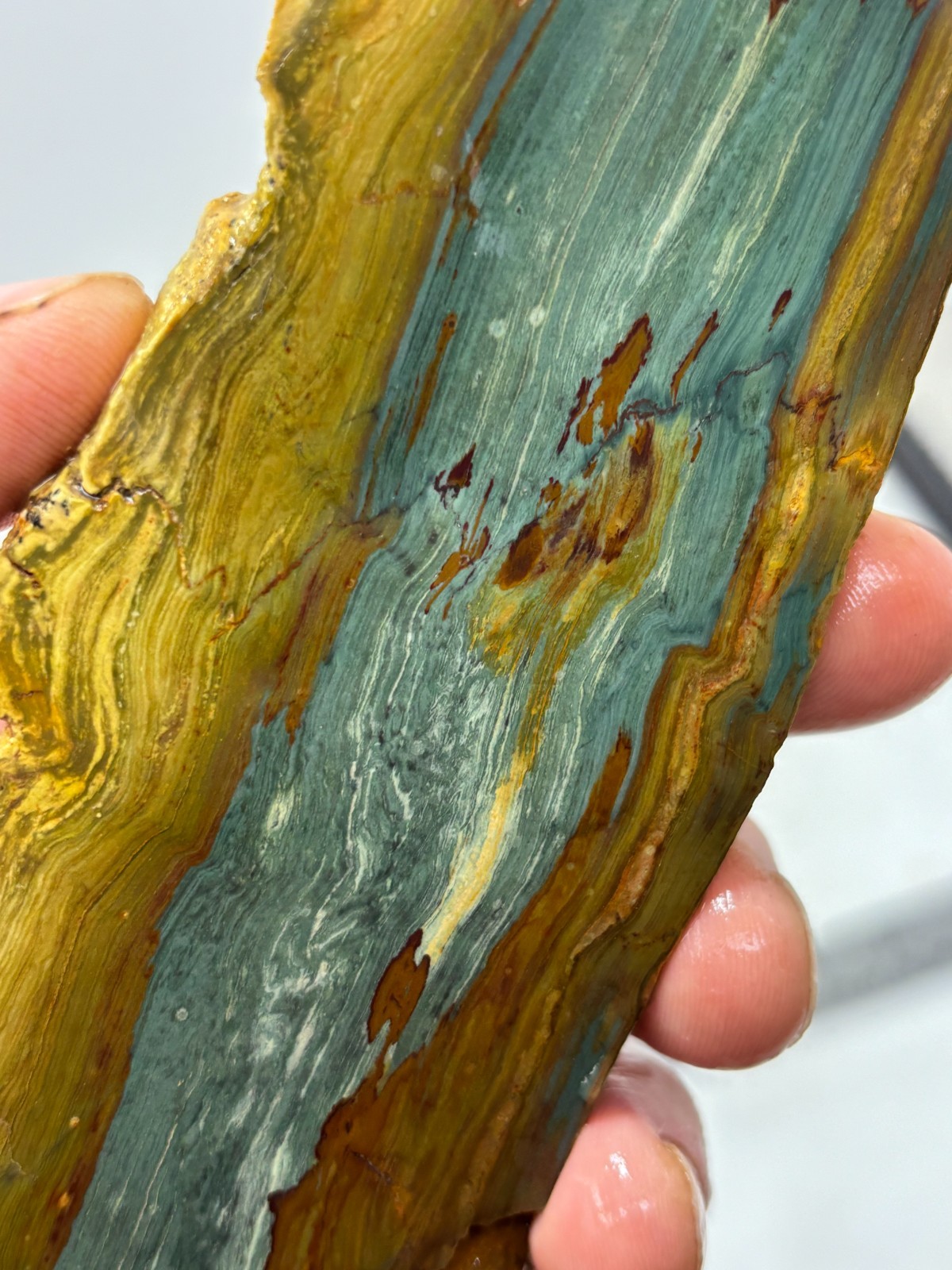 Gary Green Caldera Freedom Jasper Slab Cabbing Lapidary Combo Ship Avail