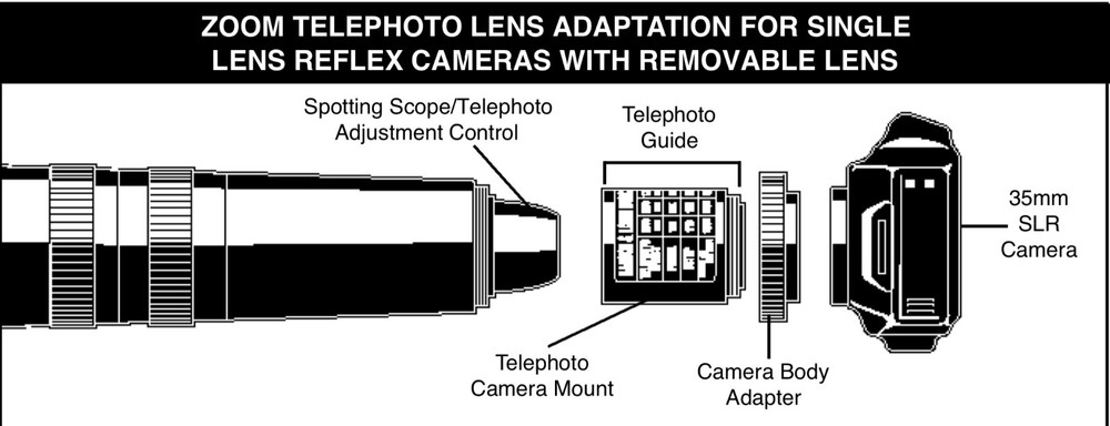Olympus T-Mount M42 x 0.75 Adapter