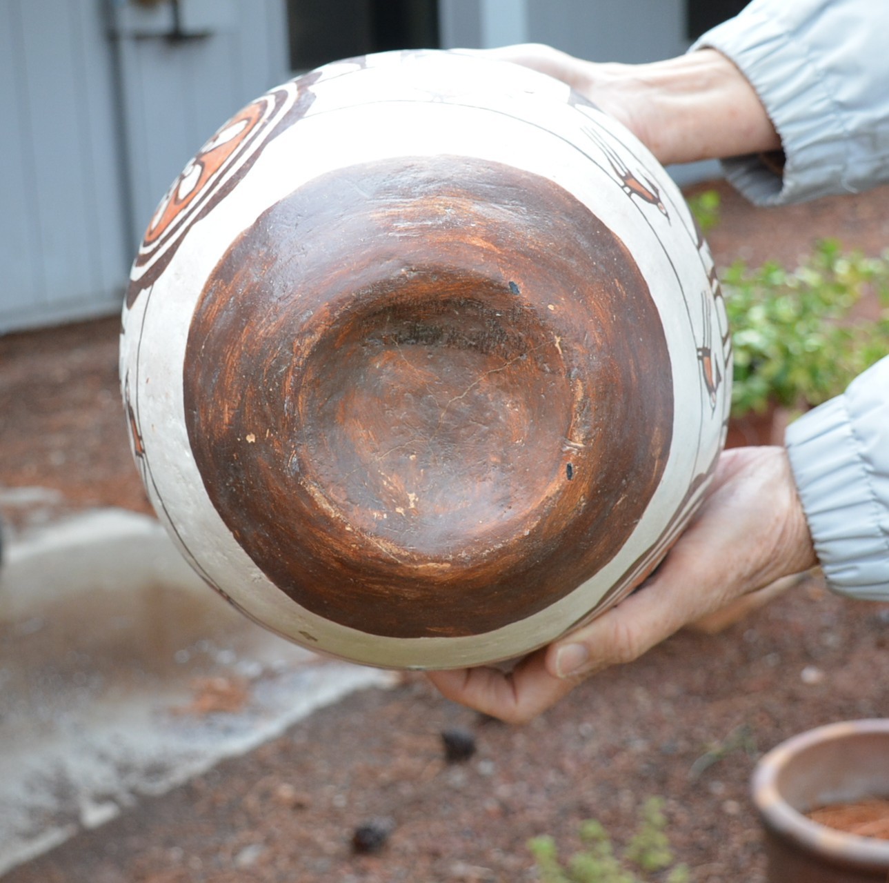 Old Zuni Traditional Olla Pot - Heartline Deer with Birds and Geometrics