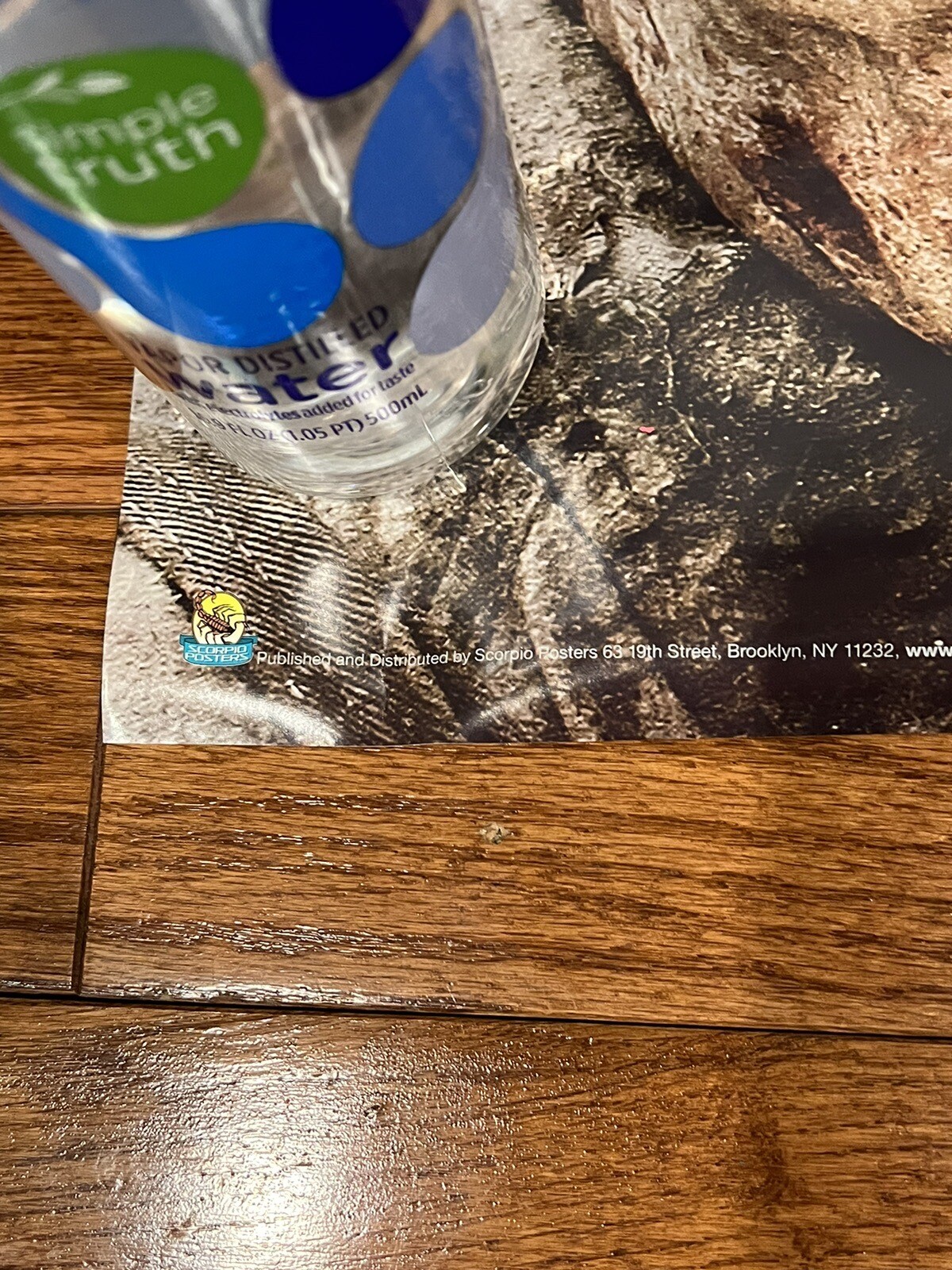 The Walking Dead Poster - 24" x 36" Bus Zombies