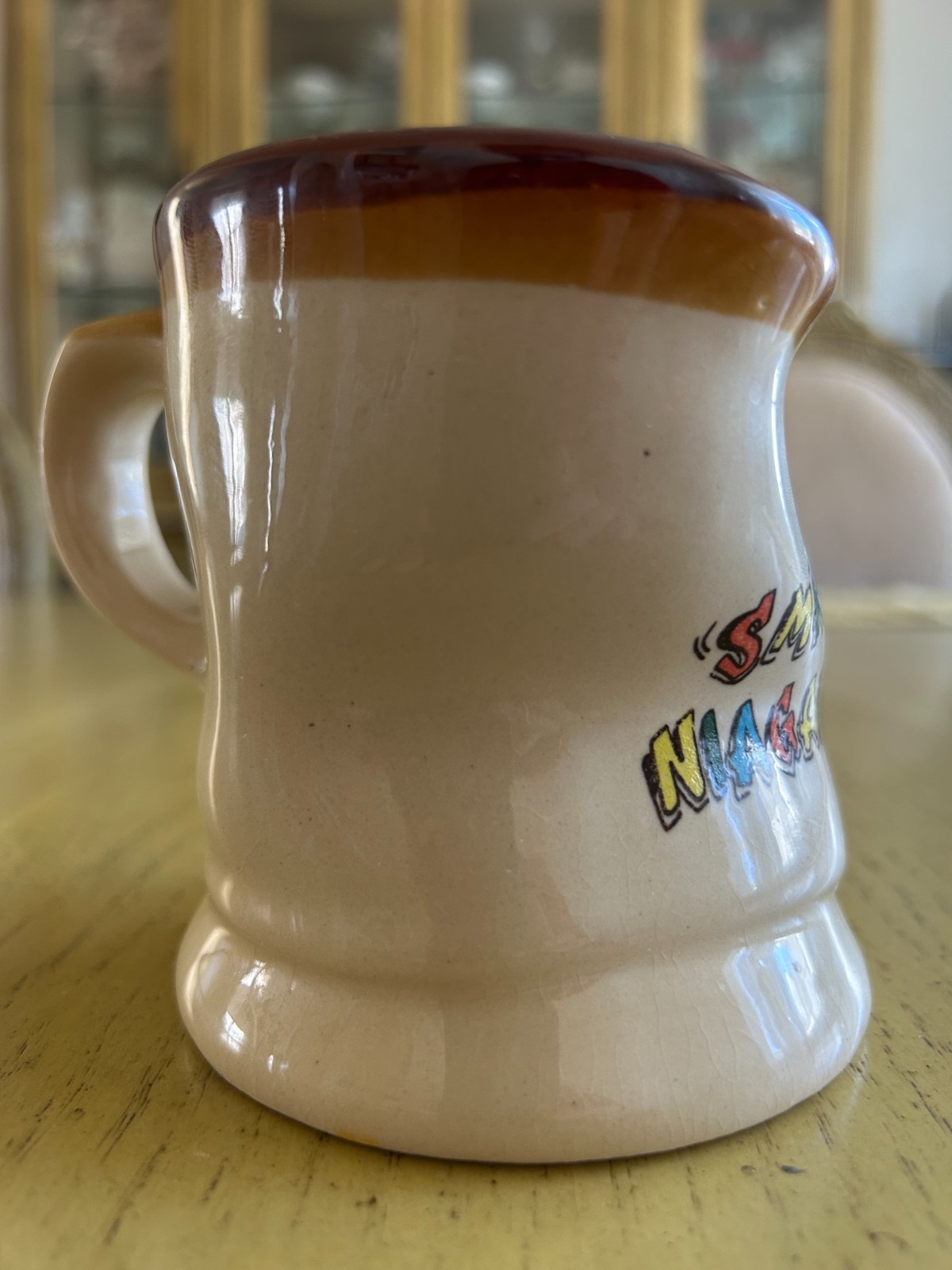 Niagara Falls “I Got Smashed” Twisted Mug Novelty Coffee Cup Souvenir Gift