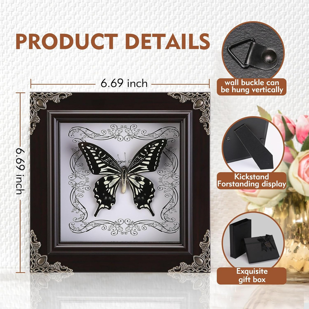 Real Butterfly Framed Handmade, Butterfly Display Shadow Box Collection, Framed