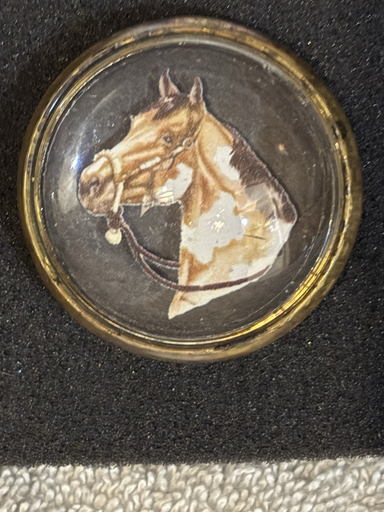 Horse Bridle Rosettes / Conchos / Buttons