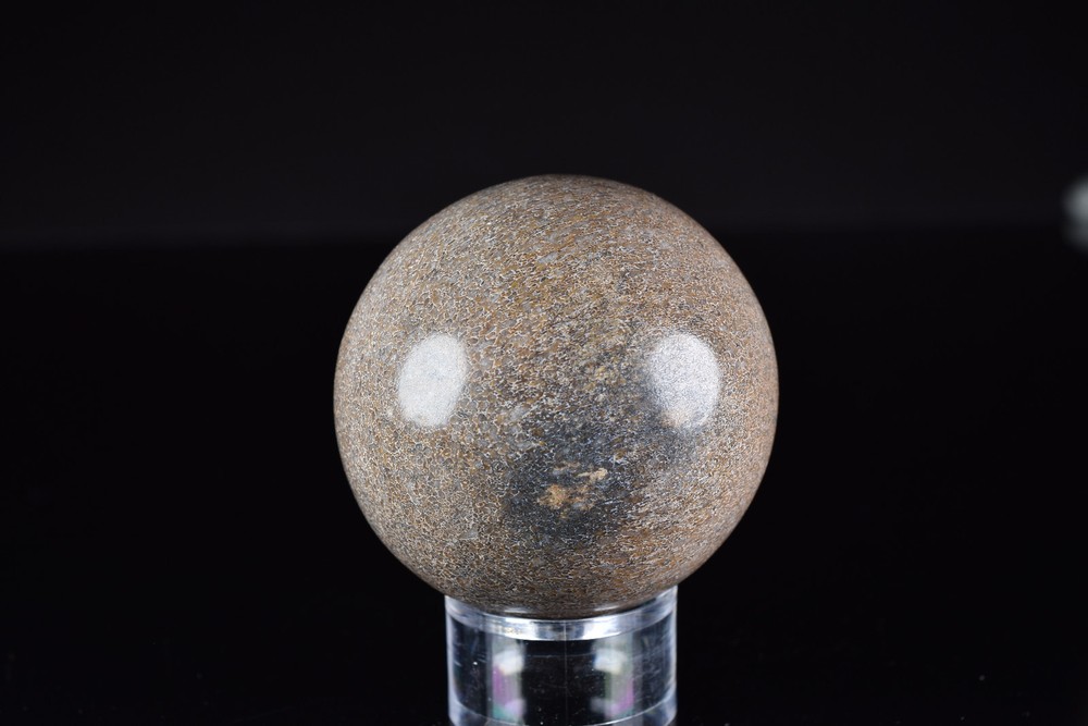 Dinosaur Bone Sphere from Morocco 7.6 cm # 20121