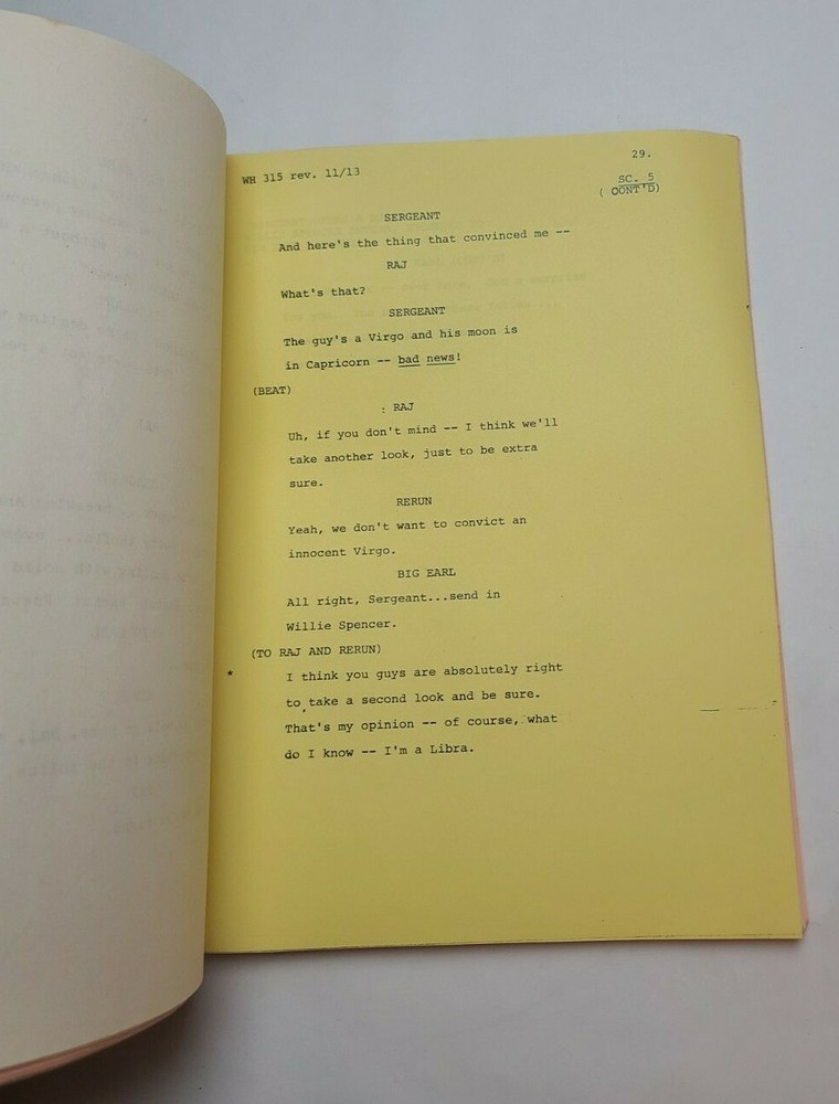 WHAT'S HAPPENING!! / 1978 TV Script, David Hollander "Positive Identification"