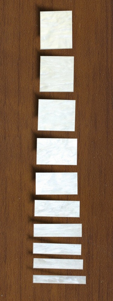 Inlay Set Pearloid 10 PC Rectangular 080720PR