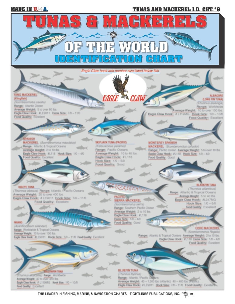Fishermen's Saltwater Fish Identification Set - Waterproof Quick Reference Guide
