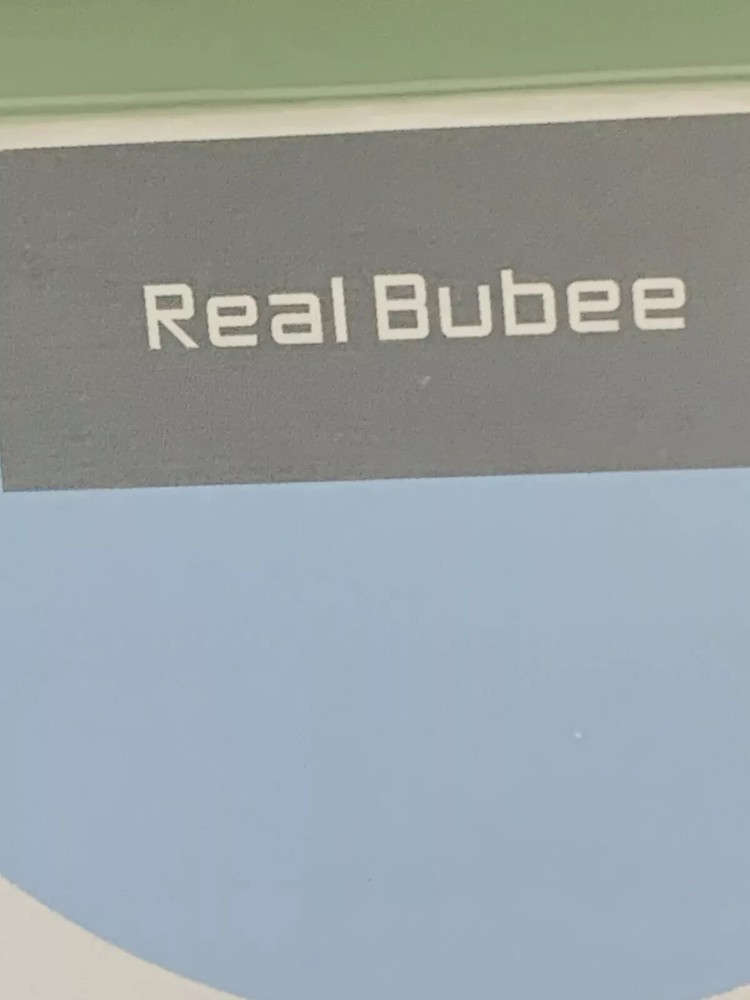 Real Bubee Intelligent Microcomputer Bilateral Electric Breast Pump RBX-8027-2