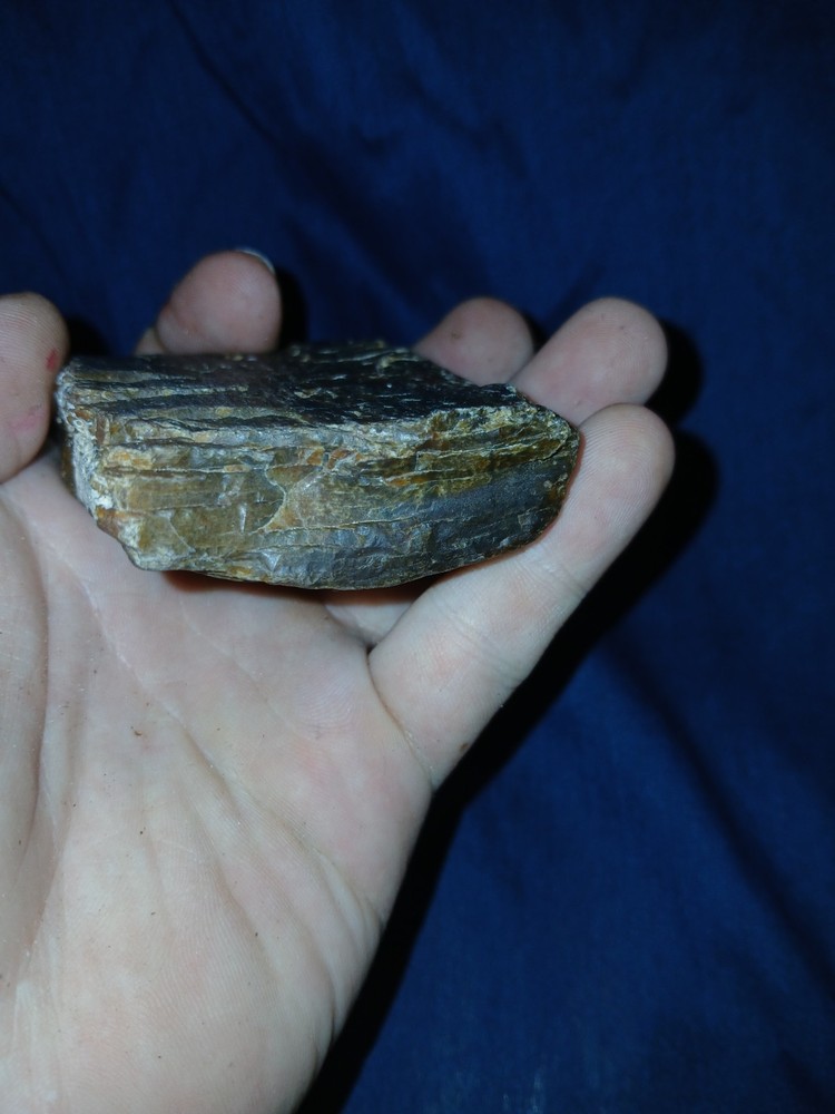 5.6 oz Agatized Petrified Wood