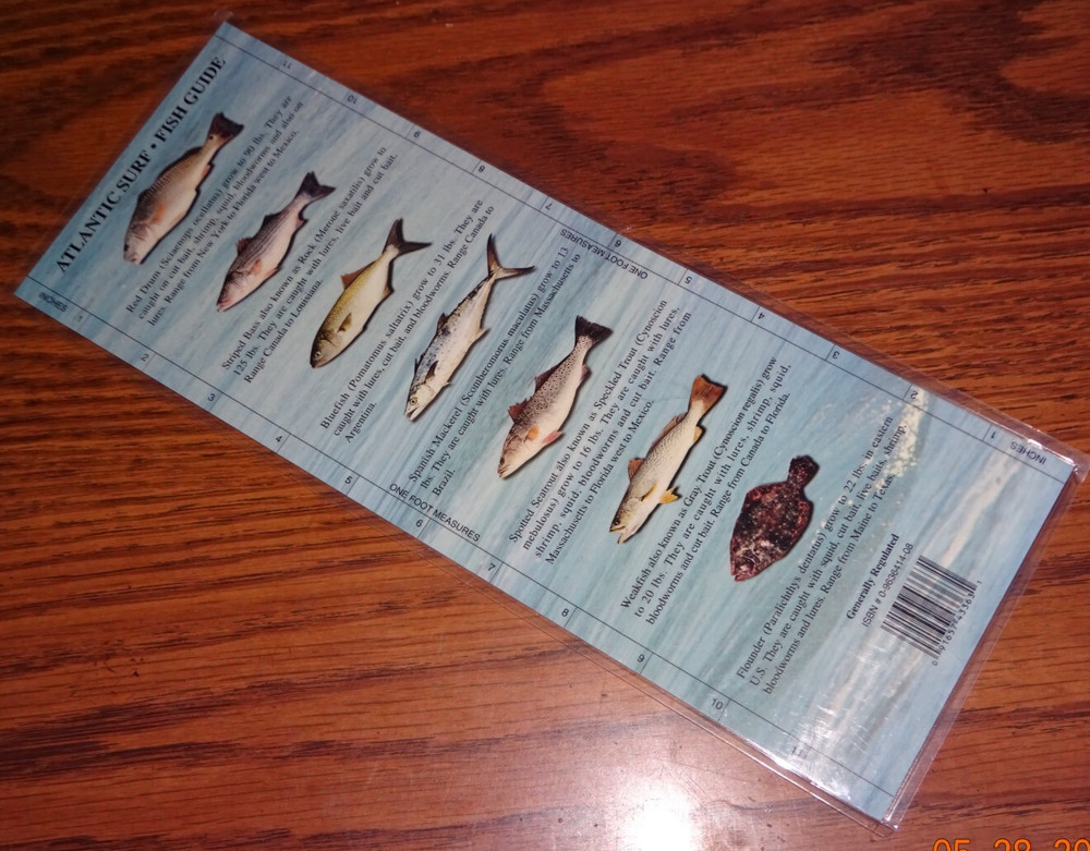 Atlantic Surf - Fish Guide, Species Quick Ref Guide, 12"x5", 2-Sided, Waterproof