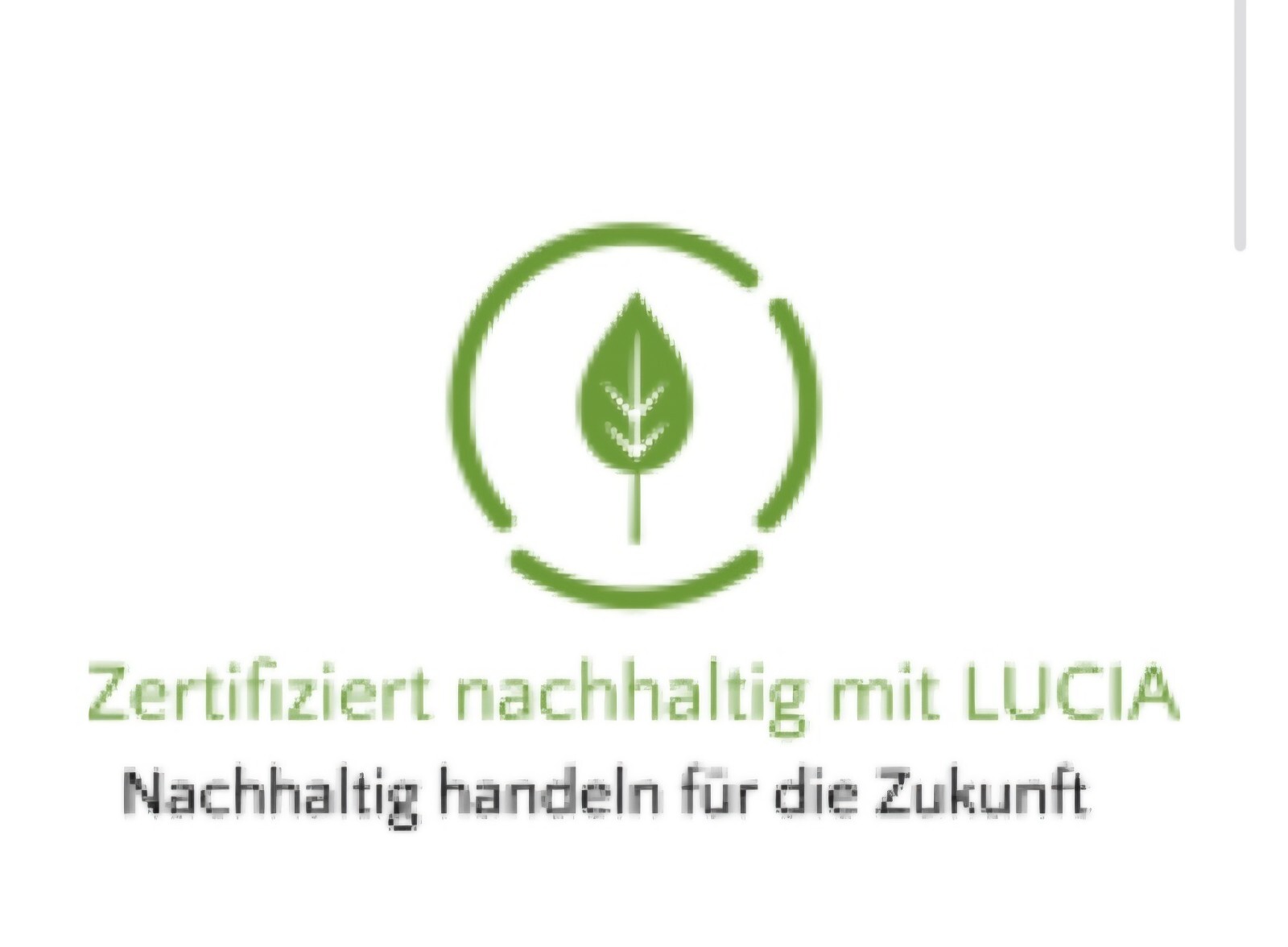 Road Runner Weatherproof Car Decal JDM Tuning Sticker Now 18% COUPON