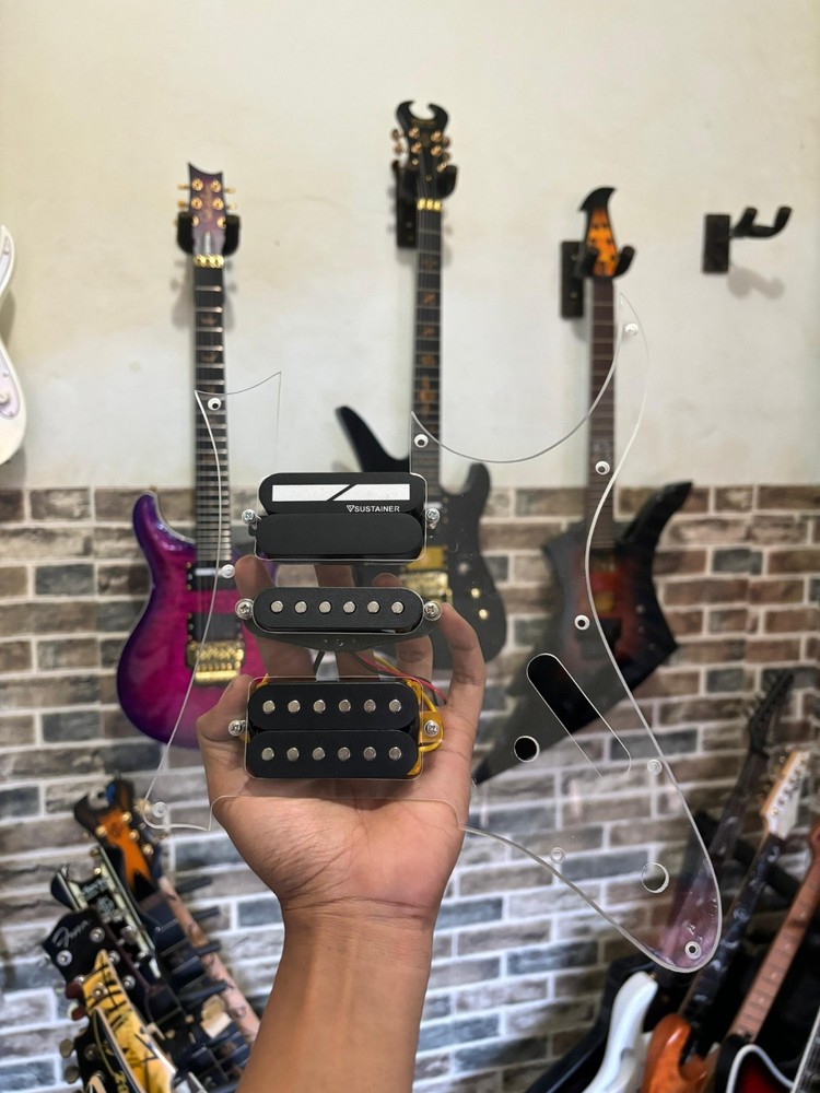 PickGuard Ibanez jem/pia