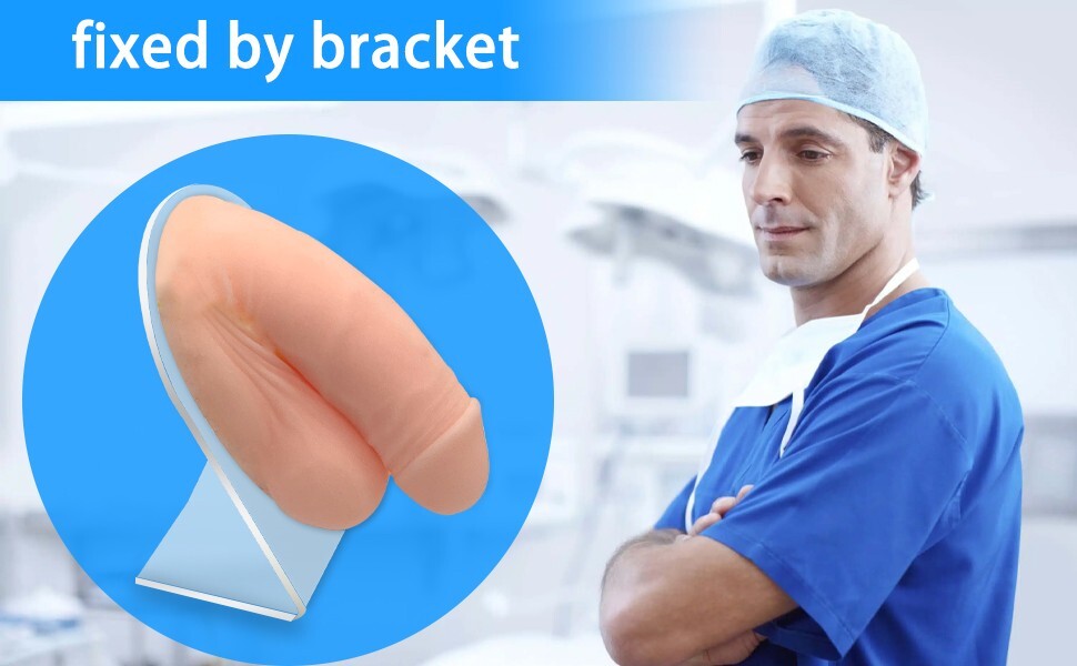 Urinary Catheterization Puncture Model Medical Operation Training Reusable Wide