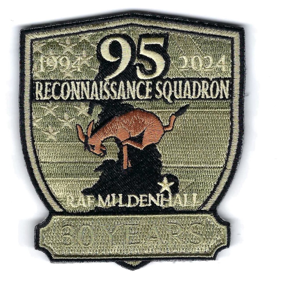 95th RECON 30 YEARS 1994-2024  patch