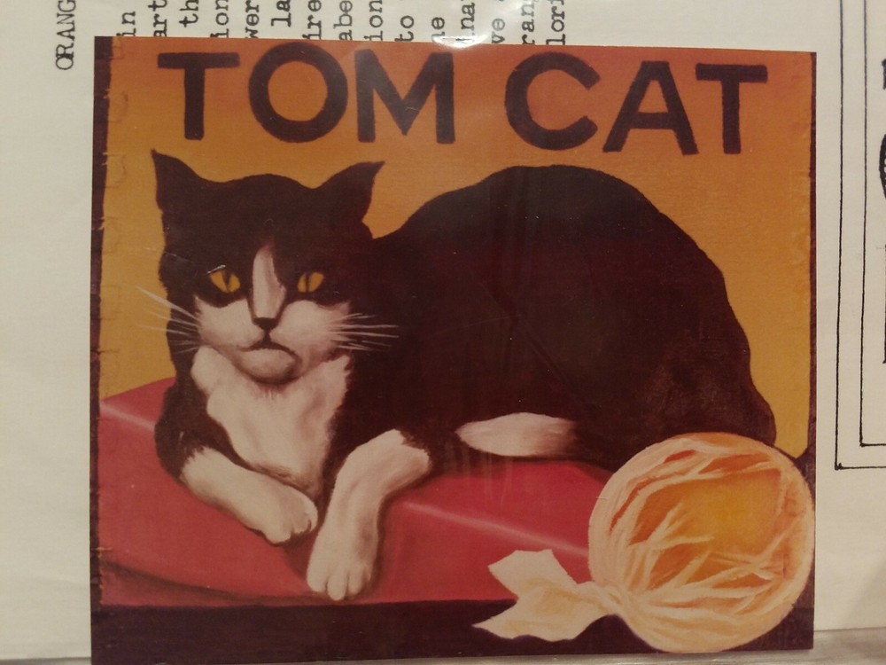 MORENE SCHULTZ 1982 ORANGE CRATE ART TOM CAT PAINTING PATTERN