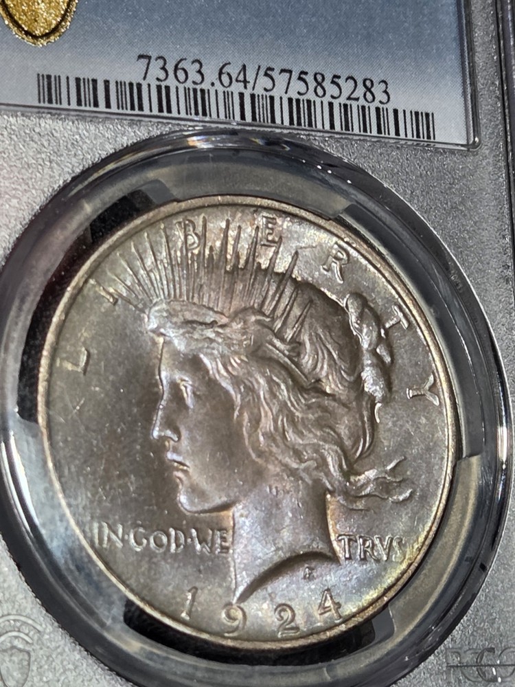 1924 $1 Peace Dollar PCGS MS64 Toned