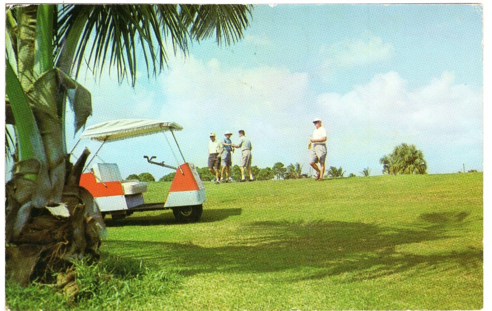 GOLFING IN FLORIDA - PC3071