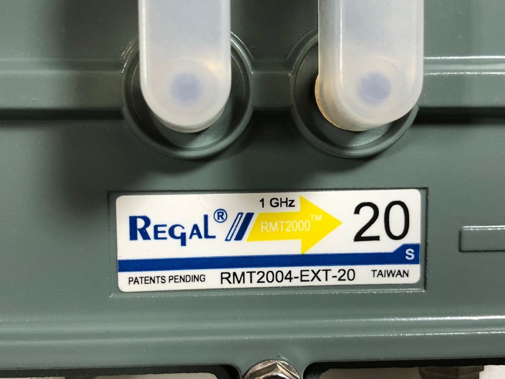 REGAL RMT2004-EXT-20 TAP