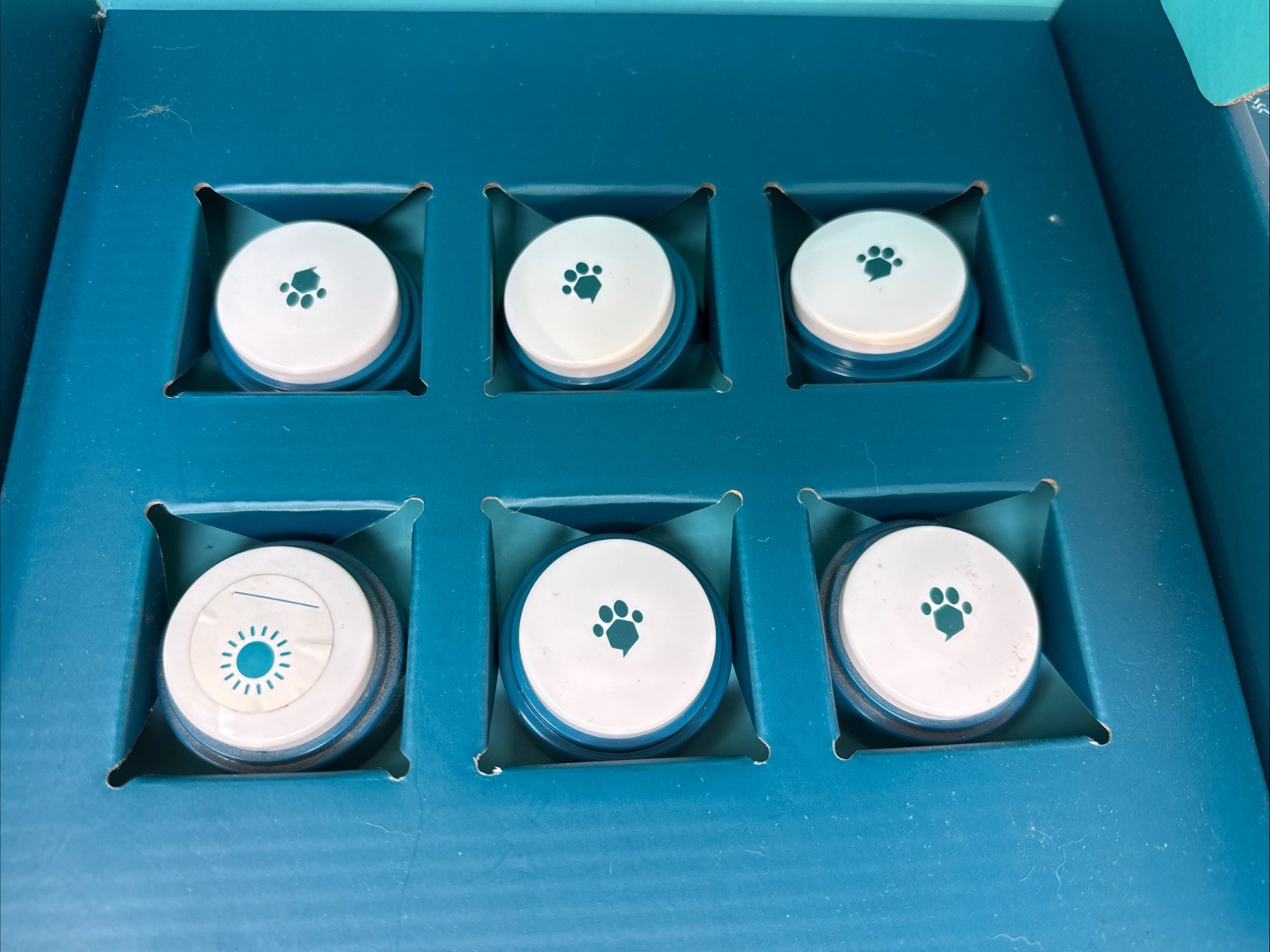 Fluent Pet Let’s Teach Them to Talk Buttons Set