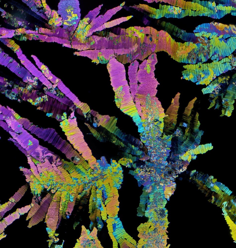 Microscope slide for polarization, THEOBROMINE