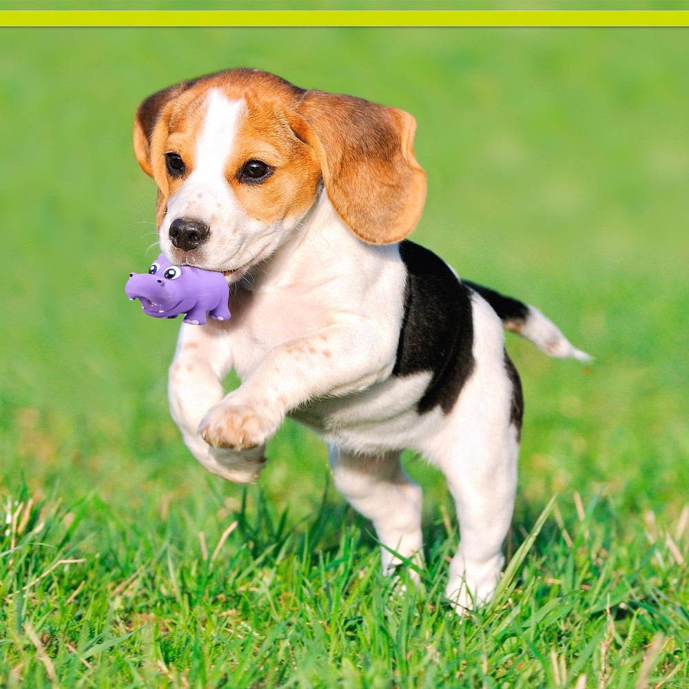 PETSPORT NaturFlex Hippo Tiny Tots 3.5"