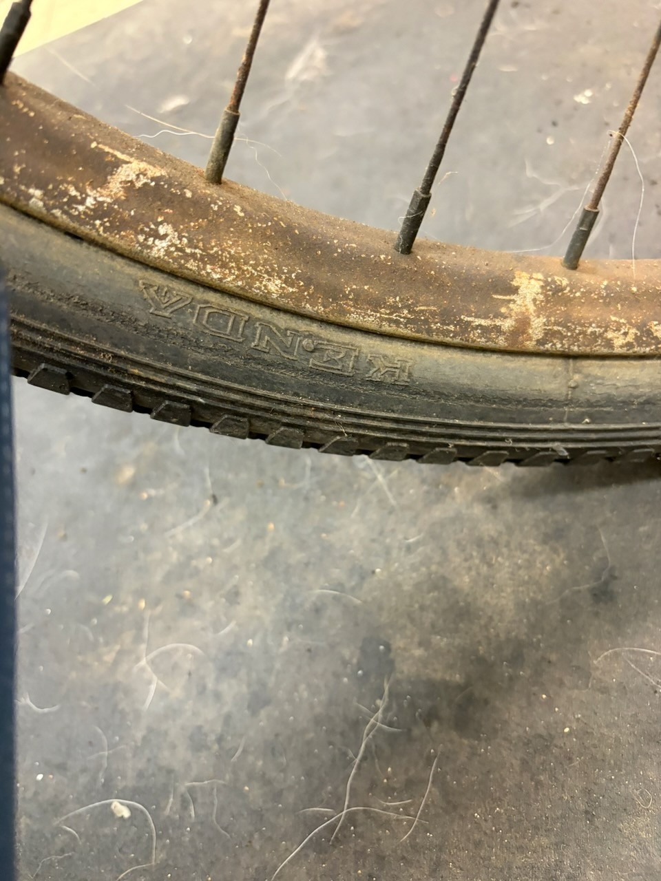 Rollfast RARE! Prewar Mens Bicycle Hanging Tank & Mouse Taillight Zep?