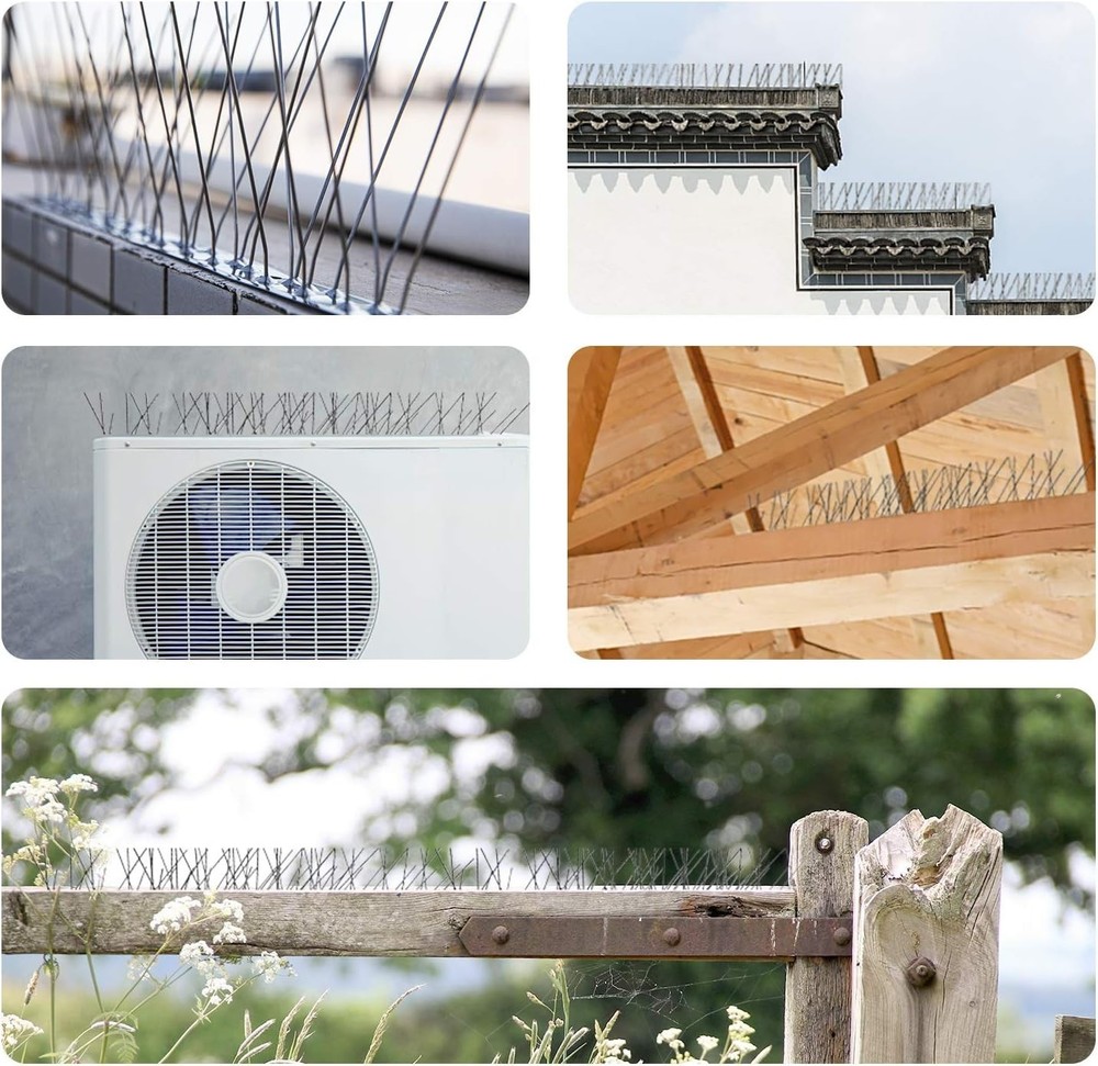 Stainless Steel Base Bird Spikes - 25ft Coverage