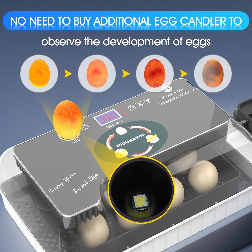 Automatic Egg Incubator for Hatching Eggs: Egg Incubator with Automatic Egg T...