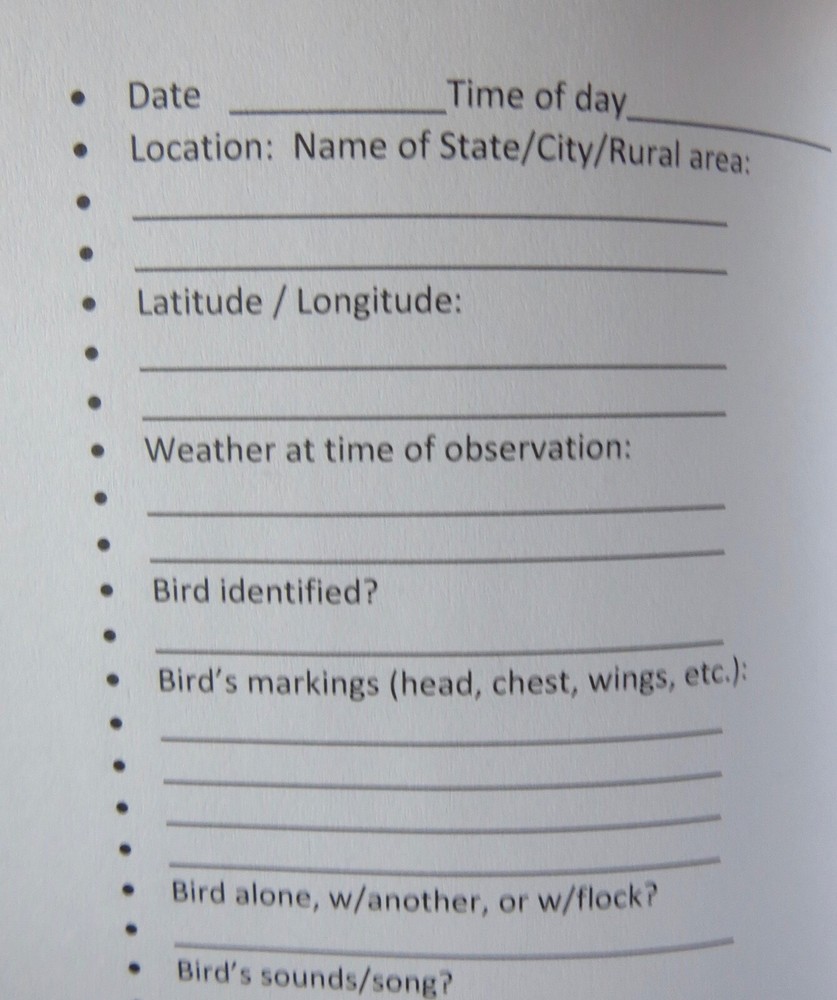 Bird Notes: A Journal