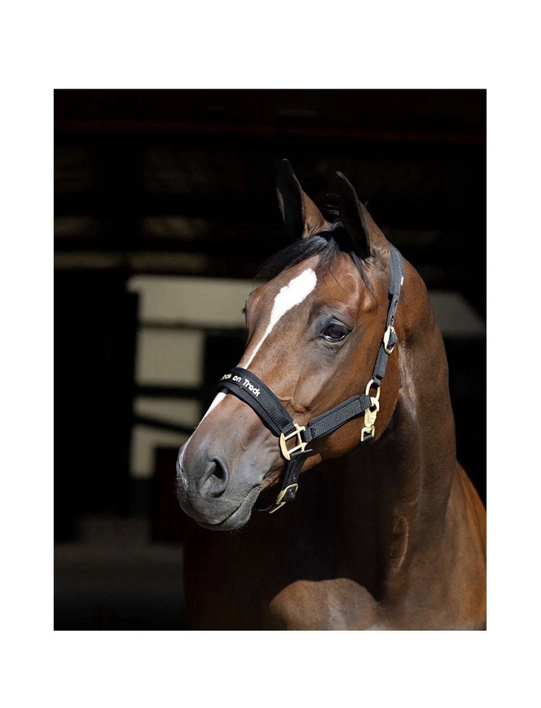 BACK ON TRACK Werano Black Halter (206400) Size Full