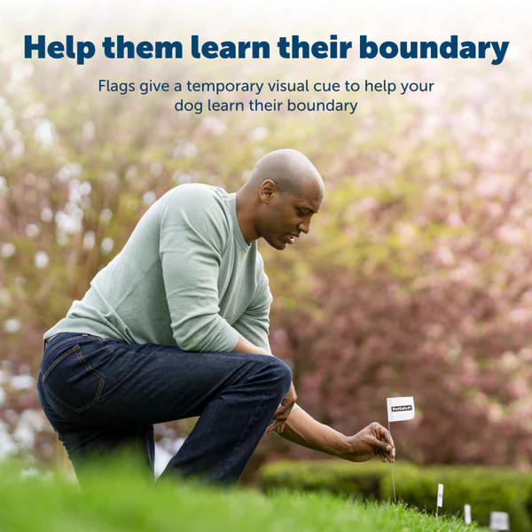 PetSafe - RFA-2 Boundary Flags - E-Fence