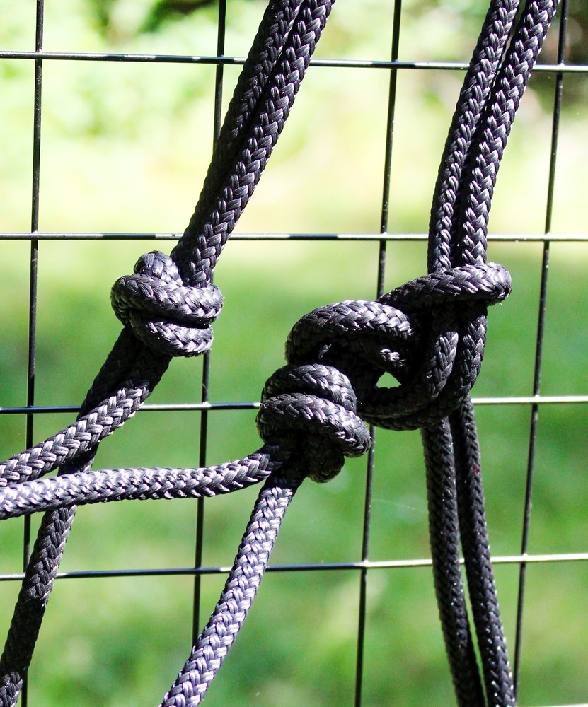 Sliding Ring Rope Halter W/ Rainbow Plated Ring